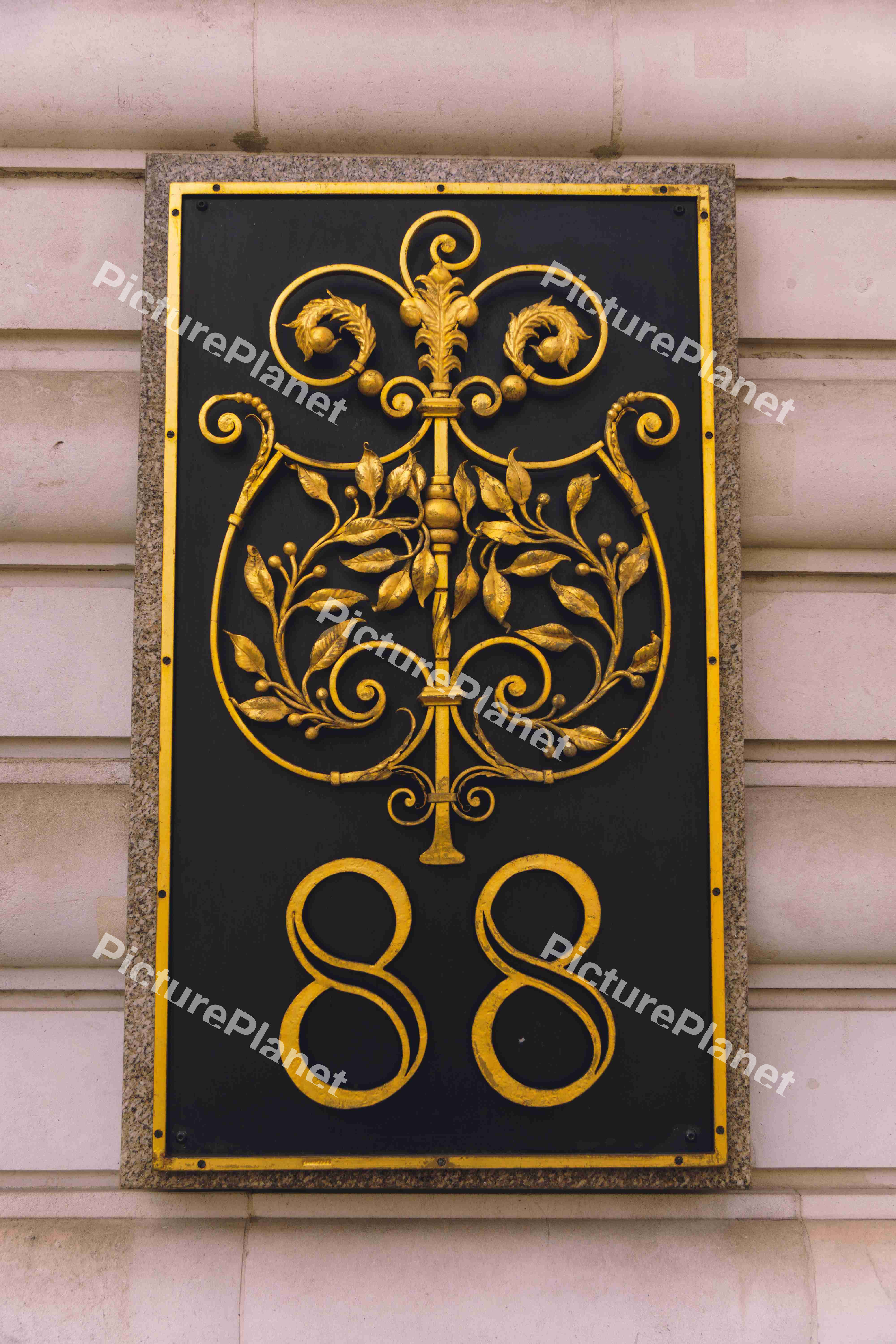 Number 88 Black & Gold Detail
